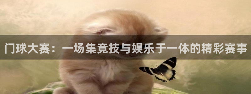 门球大赛：一场集竞技与娱乐于一体的精彩赛事
