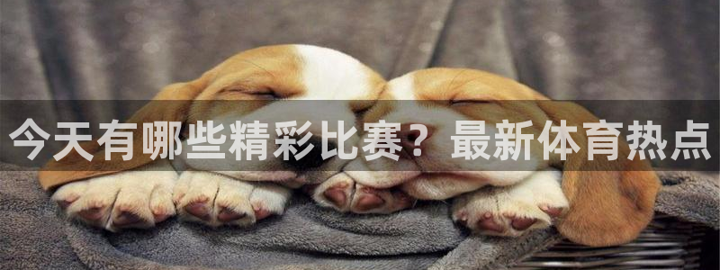  今天有哪些精彩比赛？最新体育热点