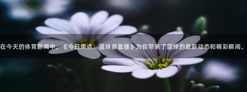 在今天的体育新闻中，《今日焦点：篮球赛直播》为你带来了篮球的