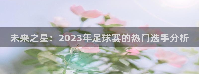 未来之星：2023年足球赛的热门选手分析