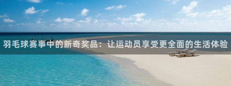 国际米兰体育场：羽毛球赛事中的新奇奖