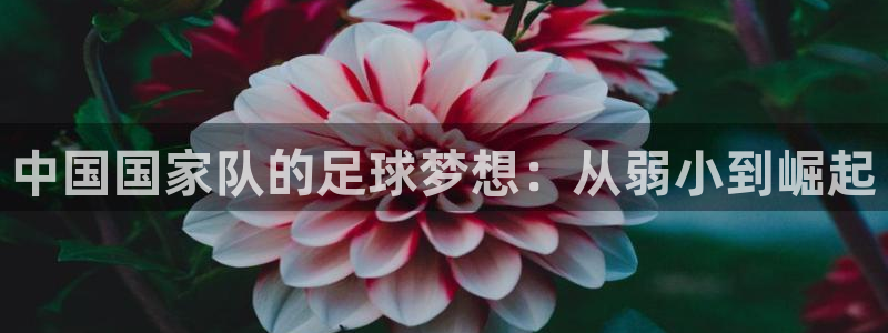 米兰体育网页版登录