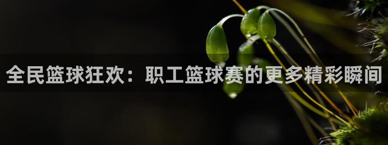 米兰体育罗纳尔迪尼奥