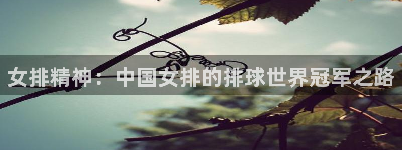 米兰体育报意大利首发阵容