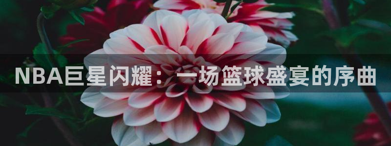  米兰体育登陆：NBA巨星闪耀：一场篮球盛宴的序曲