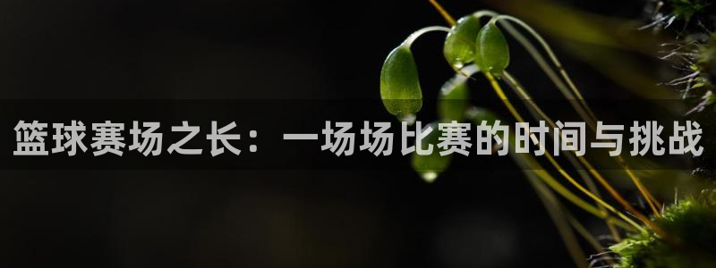 米兰体育进不去怎么办：篮球赛场之长：一场场比赛的时间与挑战