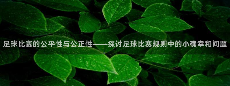 米兰体育中心：足球比赛的公平性与公正